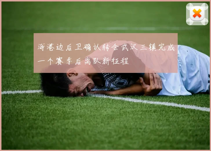 海港边后卫确认转会武汉三镇完成一个赛季后离队新征程