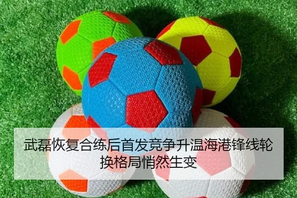 武磊恢复合练后首发竞争升温海港锋线轮换格局悄然生变（BOWWAYSPORTS）